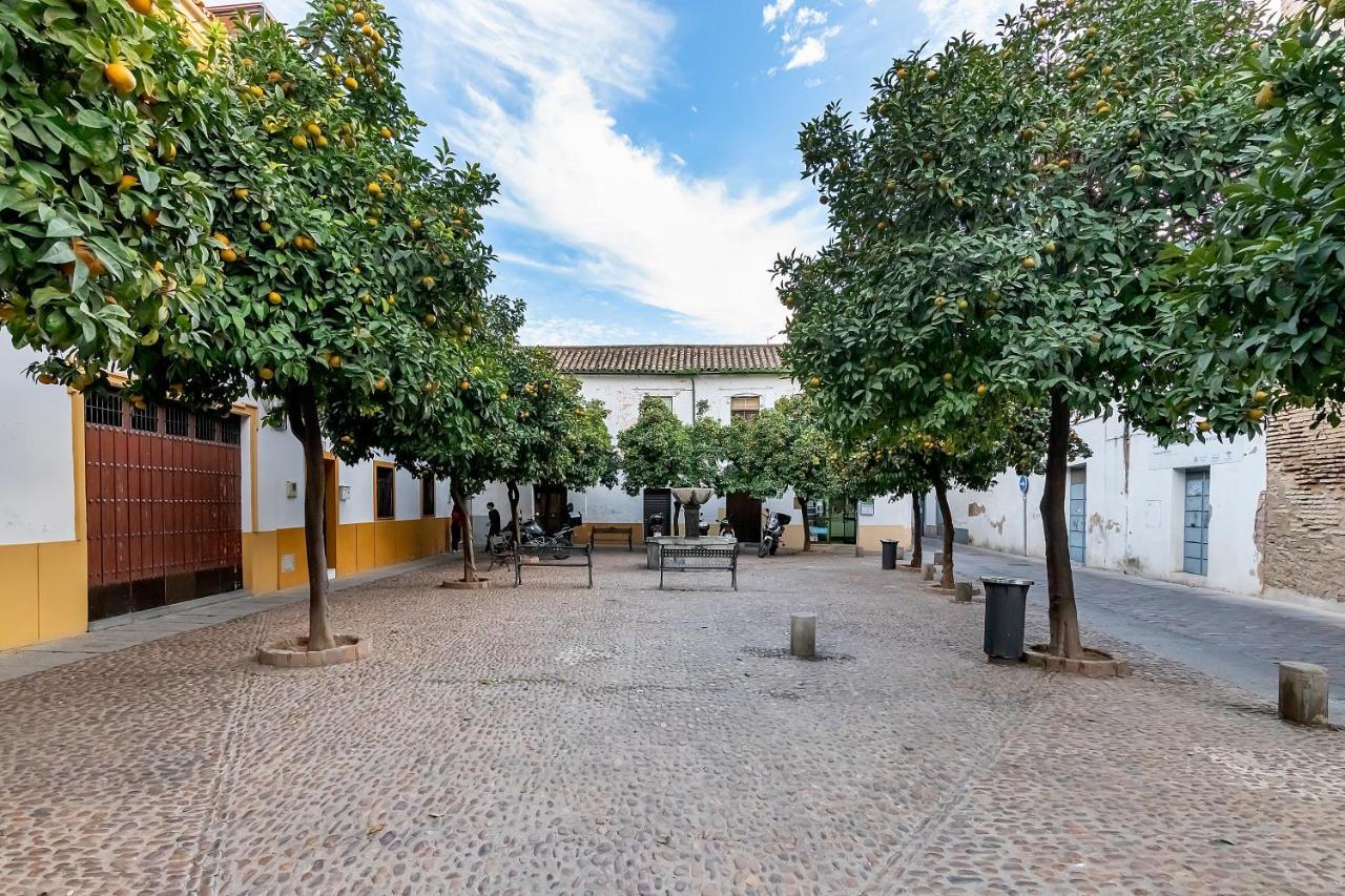 Ferienwohnung Bhost - Regina III Córdoba Exterior foto